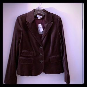 Loft Plum Velvet Blazer